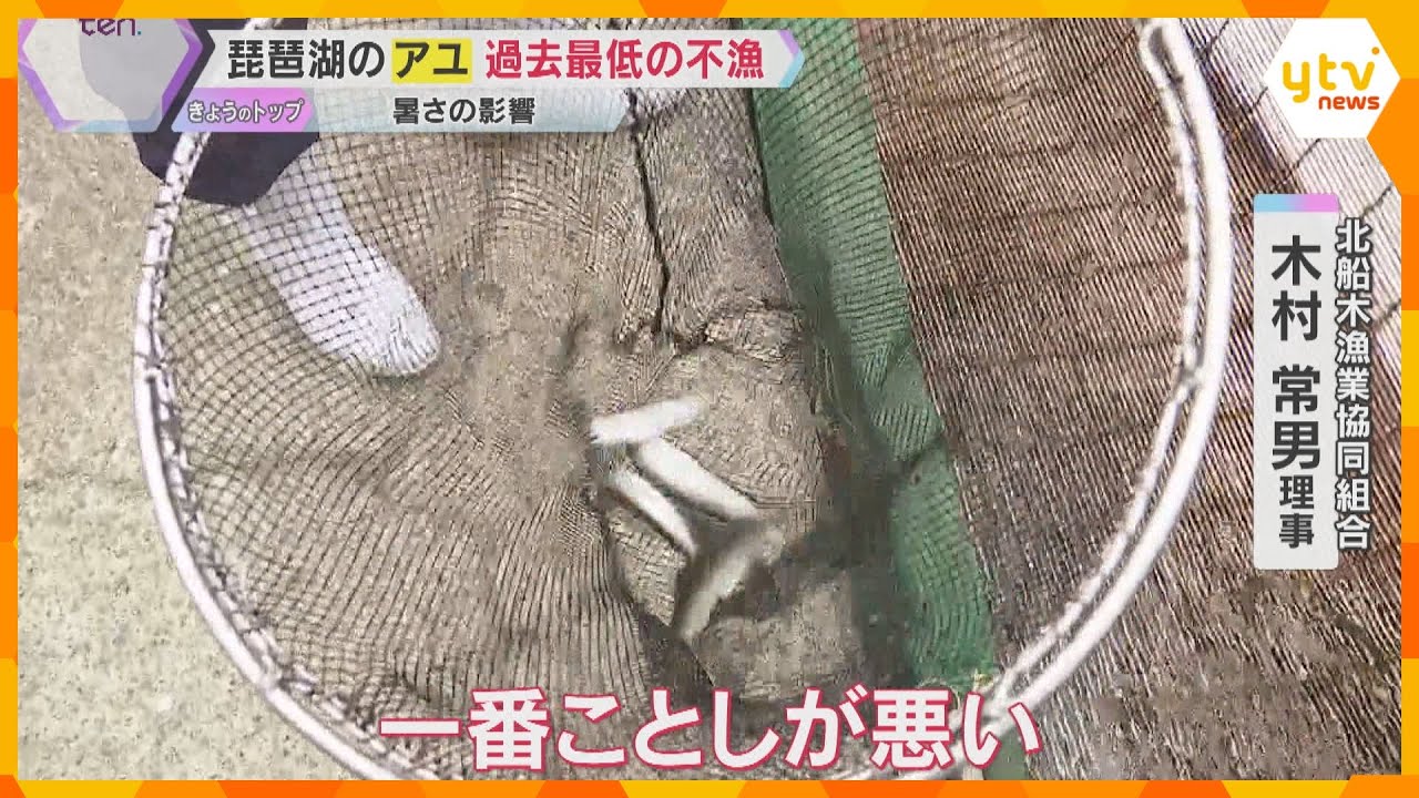「全然いない」琵琶湖のアユが過去最低の不漁　猛暑で水温上昇、地元の名産に影響　滋賀県に対策を要望「琵琶湖が魚に住みにくくなっている」