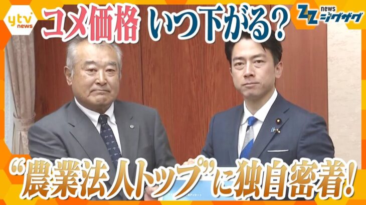 “小泉流”コメ低価格戦略の行方はー　どうなる価格？どうする流通？【ニュース ジグザグ】