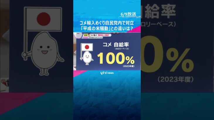 コメ輸入めぐり自民党内で対立　小泉農水相「あらゆる選択肢を」令和と平成『米騒動』の違いは？ #shorts #読売テレビニュース