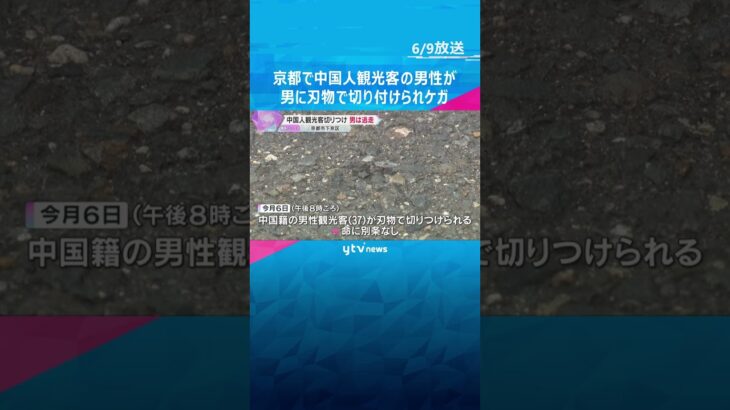 中国人観光客の男性が刃物で切り付けられケガ　約20人のツアー旅行中トラブルに　男は逃走　京都市 #shorts #読売テレビニュース
