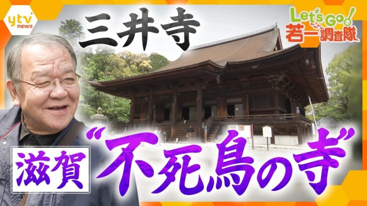 【若一調査隊】日本を代表する大寺院「三井寺」日本三名鐘「三井の晩鐘」で知られる古刹には、“日本家屋の原点”の国宝や重要文化財の数々！