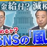 【ヨコスカ解説】争点は「物価高対策」も、政策巡りSNSで炎上…参院選を前に、各党が気にする「世論の風」