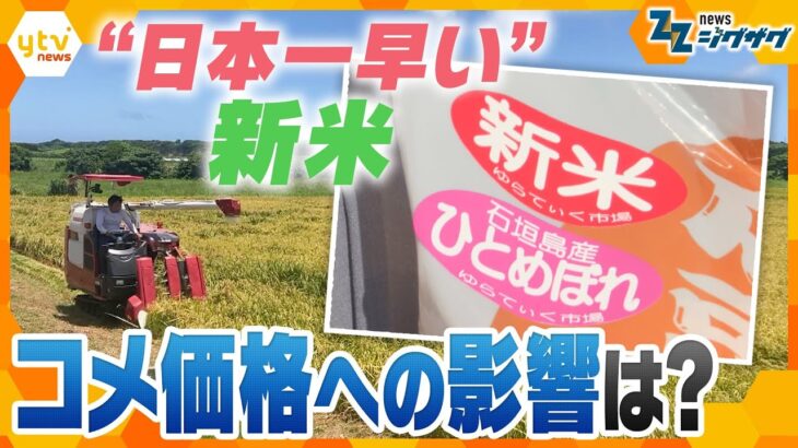 “日本最速”の新米　石垣島を緊急取材　お値段約4300円…コメ価格下落の一因に？【ニュース ジグザグ】