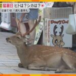 【暑い】シカもぐったり　奈良市で今年初の猛暑日　大阪・八尾市や兵庫・豊岡市も　今後も厳しい暑さ