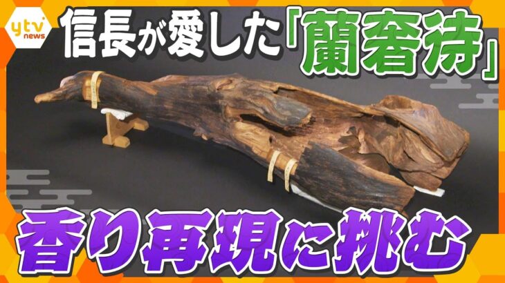 織田信長を虜にした”天下の名香”　史上初！香木「蘭奢待」の香りを再現　その舞台裏に密着【かんさい情報ネットten.特集】