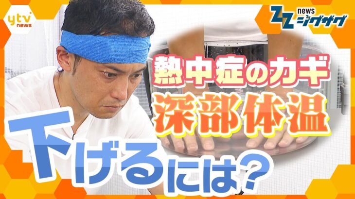 まだ６月なのに…猛暑日続出　最新の熱中症対策は「手のひら冷却」【ニュース ジグザグ】