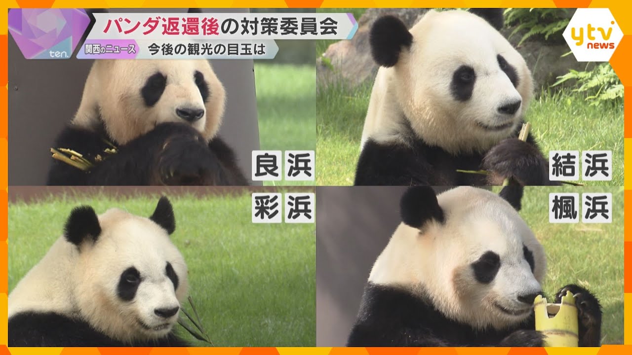 パンダ返還後の対策委員会を設置　今後の観光の目玉は？スポーツ大会や飲食イベントも　和歌山・白浜町