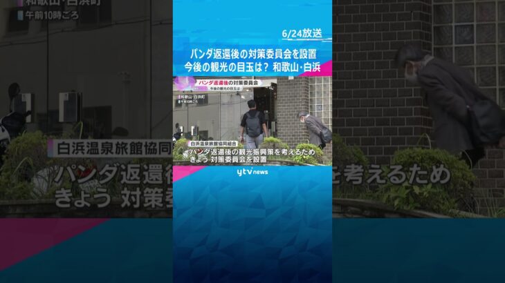 パンダ返還後の対策委員会を設置　今後の観光の目玉は？スポーツ大会や飲食イベントも　和歌山・白浜町#shorts #読売テレビニュース
