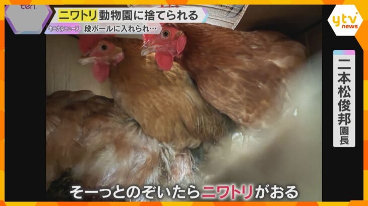 「責任持って取りに来てほしい」福知山の動物園にニワトリ3羽置き去り　園で保護も今後の対応に困惑