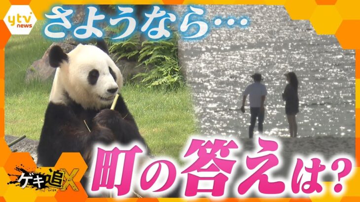 パンダ“全頭返還”で地元は激震「めっちゃ痛い」「もう来ないかも…」まちのホンネと観光客をつなぎとめる戦略とは？【かんさい情報ネットten.ゲキ追X】