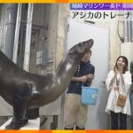 「めっちゃかわいい」「触り心地が良かった」アシカと触れ合えるツアーが人気　城崎マリンワールド
