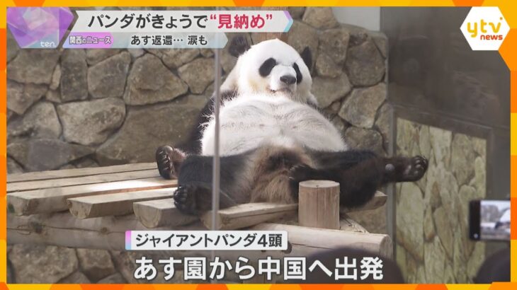 「中国に行ってもスマイルで」「元気で」白浜パンダ4頭　きょうで“見納め”　ファンは涙で別れ惜しむ