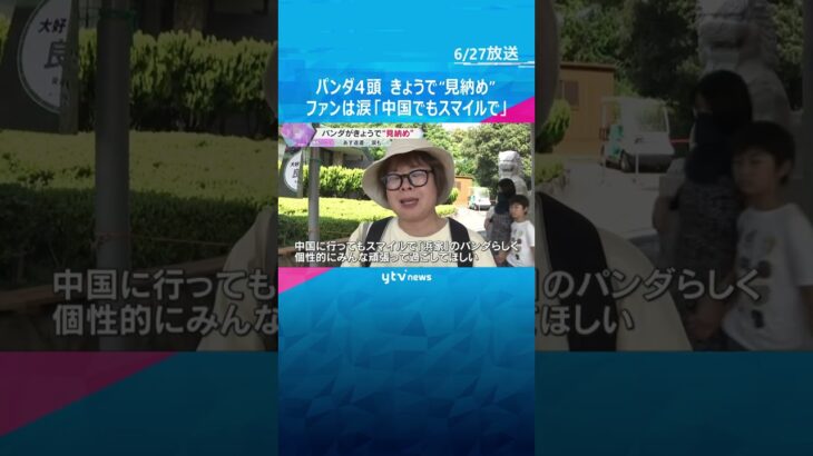 「中国に行ってもスマイルで」「元気で」白浜パンダ4頭　きょうで“見納め”　ファンは涙で別れ惜しむ　#tiktokでニュース #読売テレビニュース