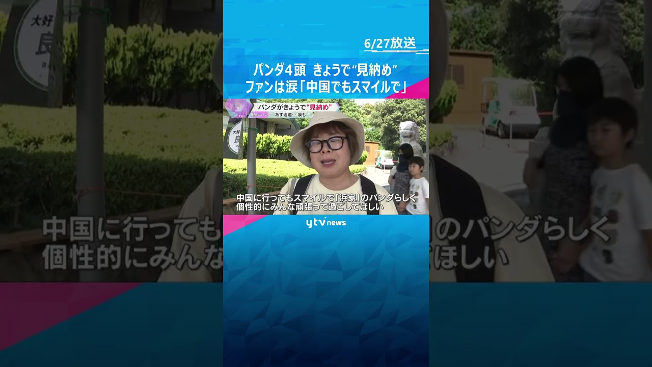 「中国に行ってもスマイルで」「元気で」白浜パンダ4頭　きょうで“見納め”　ファンは涙で別れ惜しむ　#tiktokでニュース #読売テレビニュース