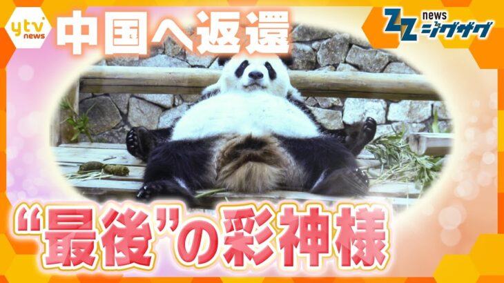 ４頭のパンダ中国へ返還　“最後”の彩神様【ニュース ジグザグ】