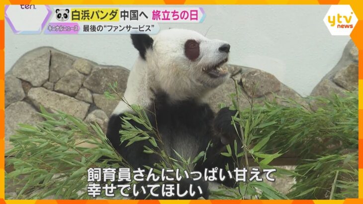 「走馬灯のように色々思い出がよみがえる」パンダ4頭が中国へ返還　旅立ちの日に涙と感謝で見送り