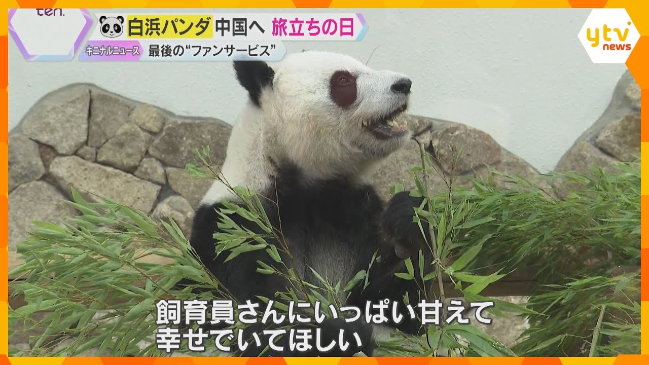 「走馬灯のように色々思い出がよみがえる」パンダ4頭が中国へ返還　旅立ちの日に涙と感謝で見送り
