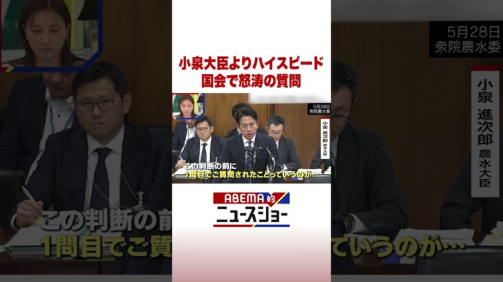 小泉大臣よりハイスピード 国会で怒涛の質問 #ABEMA的ニュースショー #Shorts