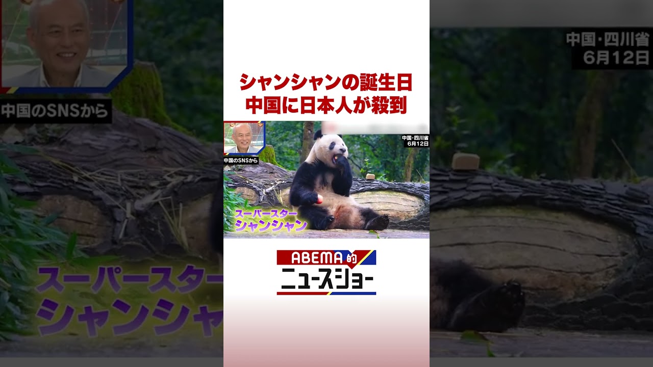 シャンシャンの誕生日 中国に日本人が殺到 #ABEMA的ニュースショー #Shorts