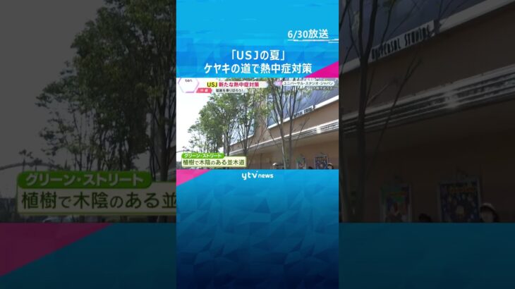 【USJで新たな熱中症対策】ケヤキの木が植えられたグリーン・ストリート　夏を乗り切る取組み始まる  #shorts #読売テレビニュース