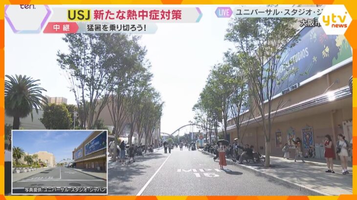 【USJで新たな熱中症対策】ケヤキの木が植えられたグリーン・ストリート　夏を乗り切る取組み始まる