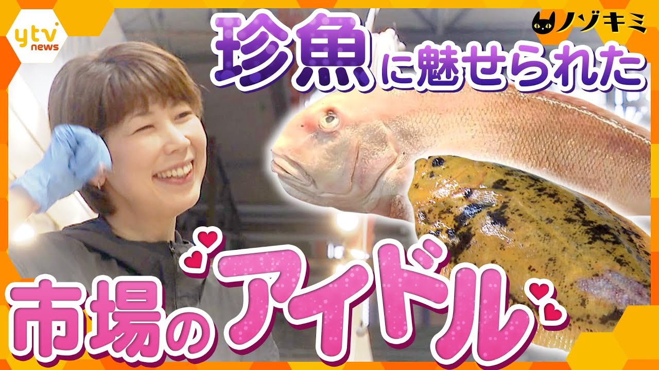 市場でたった1人の女性仲買人　マンボウにシュモクザメ…珍しい魚を食卓へ！【かんさい情報ネット ten.特集/ノゾキミ】
