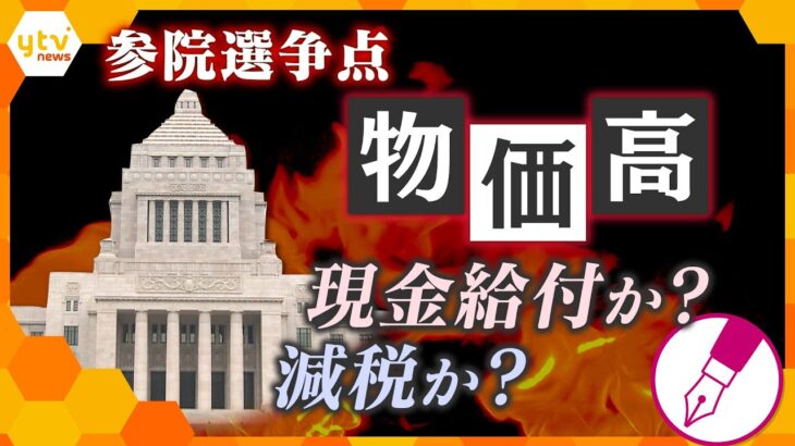 【キシャ解説】参院選2025 争点「物価高対策」 現金給付か？減税か？ 家庭にもたらされる恩恵とは？