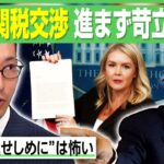 【新関税25％】「日本がターゲットにされつつある」トランプ氏の攻撃恐れ…米国企業も値上げためらい？企業努力でずっと我慢は「無理」｜アベヒル