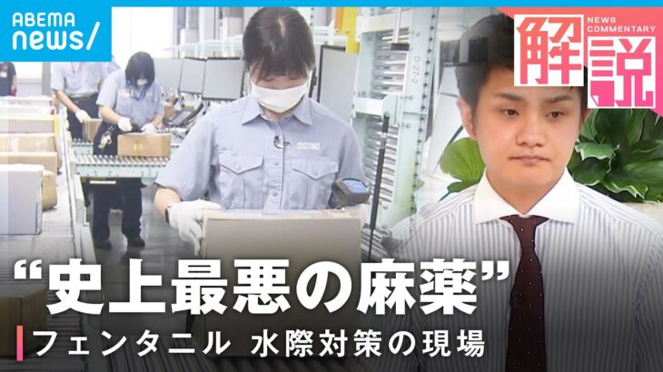 【史上最悪】“2mgで致死量”“コスパ良く多幸感”麻薬「フェンタニル」水際対策の現場｜社会部 岡部蒼人記者