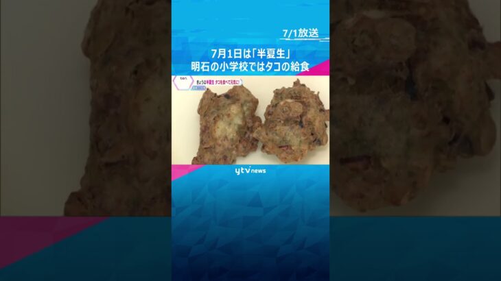 7月1日は『半夏生』田植えを終える目安の日　明石の小学校ではタコの給食を提供「ぷりぷりしている」　#shorts #読売テレビニュース