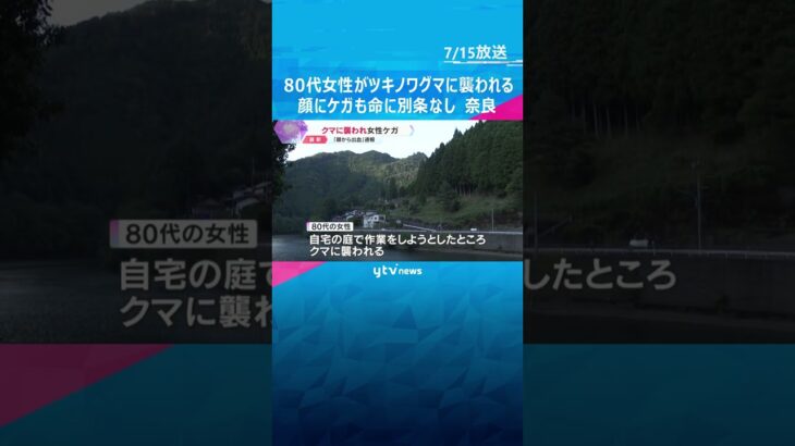 80代女性が自宅の庭でツキノワグマに襲われる　顔にケガも命に別条なし　目撃情報3件　奈良・五條市 #shorts #読売テレビニュース