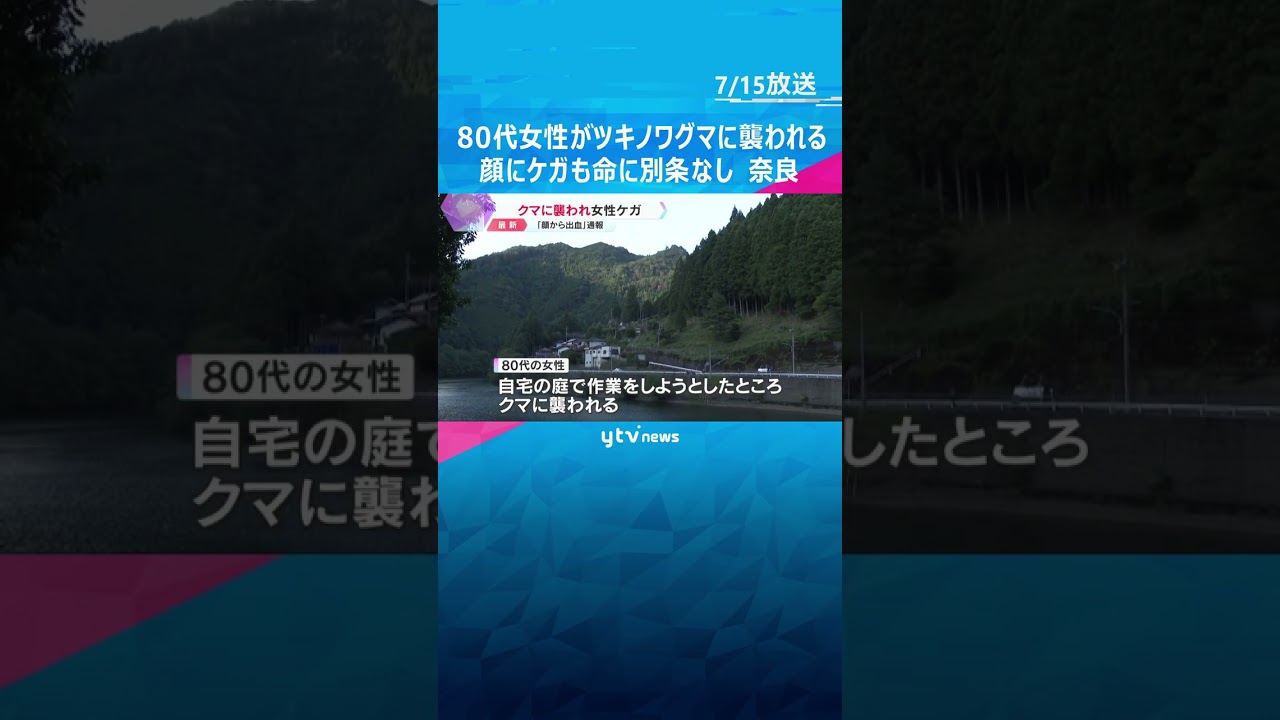 80代女性が自宅の庭でツキノワグマに襲われる　顔にケガも命に別条なし　目撃情報3件　奈良・五條市 #shorts #読売テレビニュース