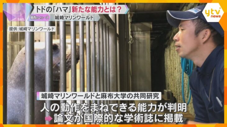 「世界にバレちゃった」トドの『ハマ』に“人の動作をまねできる能力”　論文が国際的な学術誌に掲載