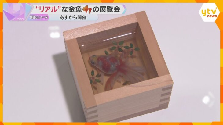 “まるで生きている”金魚『深堀隆介展』透明樹脂にアクリル絵の具を…代表作「金魚酒」など約300点