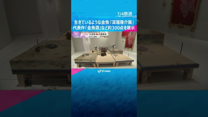 ”まるで生きている”金魚『深堀隆介展』透明樹脂にアクリル絵の具を…代表作「金魚酒」など約300点#shorts #読売テレビニュース