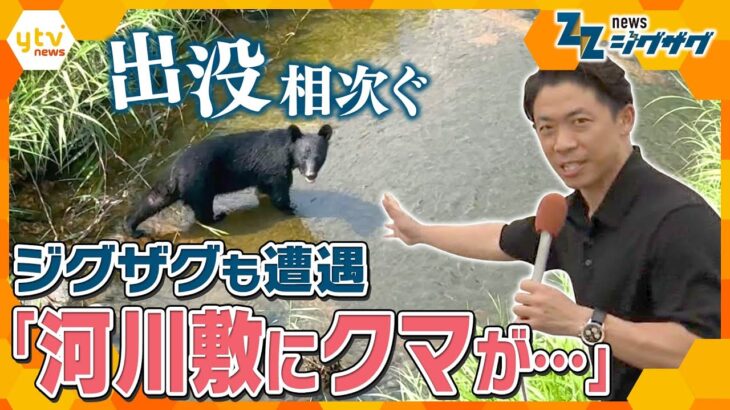 クマ目撃多発なぜ？　ジグザグ取材班が追跡　茂みからその姿が…【ニュース ジグザグ】