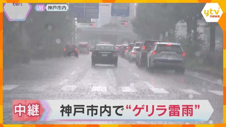 ゲリラ豪雨の神戸から生中継　車のワイパーを振っても追いつかない雨量　堺市では3000軒以上で停電