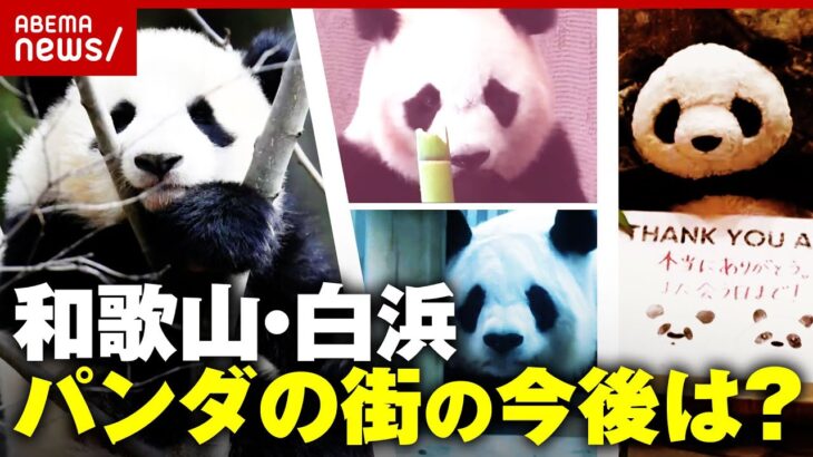 【パンダロス】「貴重なのにマスコミが全然…」返還後どうする？“砂浜でピアノ”和歌山・白浜町の取り組み調査｜ABEMA的ニュースショー