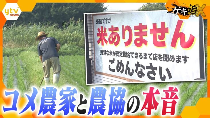 なぜコメは消えた？ なぜ価格は下がらない？ 流通と生産を追跡 “令和のコメ騒動”の実態とは？【かんさい情報ネットten．ゲキ追X】