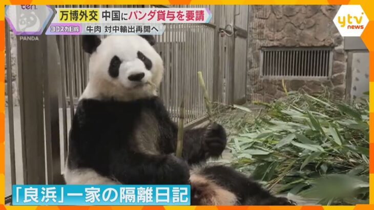 パンダ貸与を要請か　万博外交で中国の要人と会談、国産牛の対中輸出再開へ　中国ナショナルデー　
