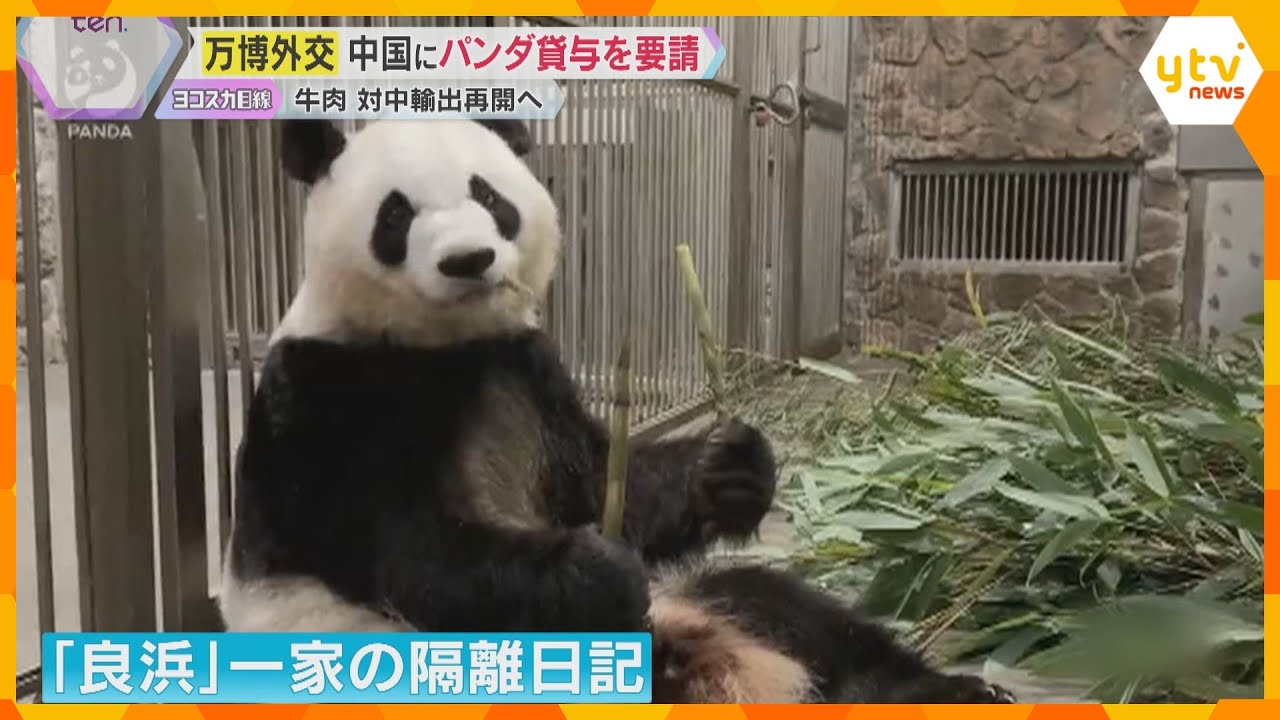 パンダ貸与を要請か　万博外交で中国の要人と会談、国産牛の対中輸出再開へ　中国ナショナルデー　
