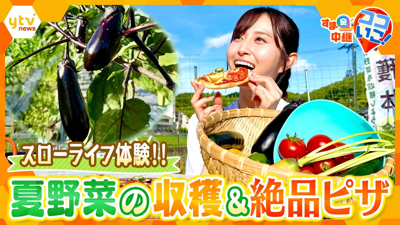 自然の中でスローライフを満喫！夏野菜の収穫体験＆新鮮野菜を使ったピザの手作り体験【す・またん！】