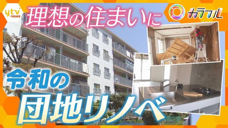 「古い」はもう時代遅れ！あこがれの住まいに生まれ変わる“令和”の団地リノベ【かんさい情報ネット ten./カラフル】