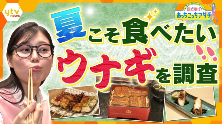暑さに負けるな！夏こそ食べたいウナギを調査！ロケNGの老舗店で特別取材！ウナギを足立アナが“あっちこっち”訪れて調査【かんさい情報ネット ten.あっちこっちアダチ】