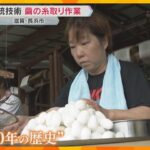 滋賀・長浜市で「繭の糸取り」 琴や三味線に使われる糸を繭から紡ぐ　演奏家に人気、根強いファンも