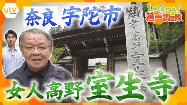 【若一調査隊】多数の国宝が！古くから女性の参詣が認められた寺院・室生寺の歴史と魅力に迫る