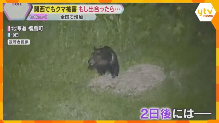 奈良県五條市の自宅でクマに襲われ女性ケガ　被害が全国で増加　遭遇したら「慌てずゆっくり後ずさり」
