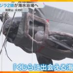 「くじらに出会える海水浴場」海開き前に博物館のクジラ2頭が引っ越し　体長3メートル　和歌山