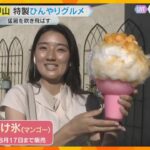 夏の恒例行事「氷室開き」の氷が溶ける暑さ…六甲山に登場したのは顔の2倍もある「巨大かき氷」神戸市