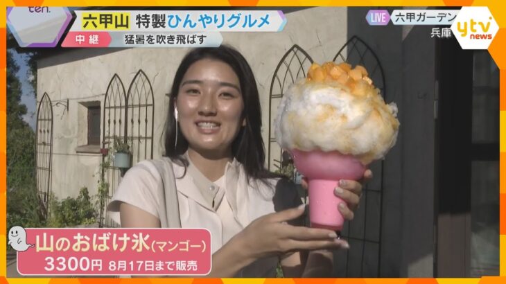夏の恒例行事「氷室開き」の氷が溶ける暑さ…六甲山に登場したのは顔の2倍もある「巨大かき氷」神戸市